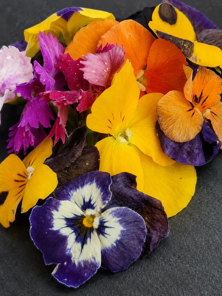 Freeze-dried edible flowers