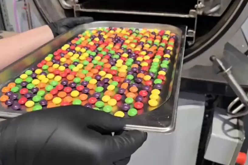 Loaded tray of sweets in a single layer entering the drying chamber