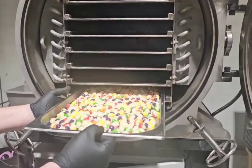 The same tray after the cycle, the pieces visibly expanded