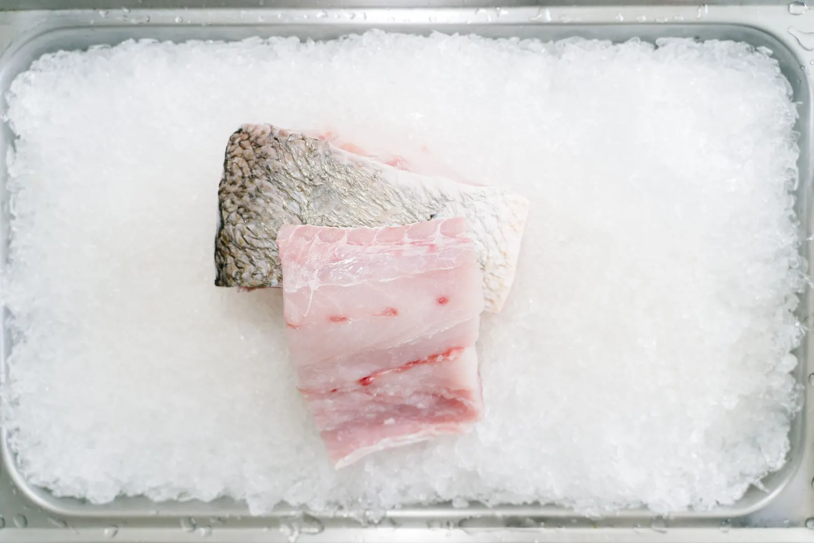 Fresh white fish fillets on crushed ice in a stainless tray