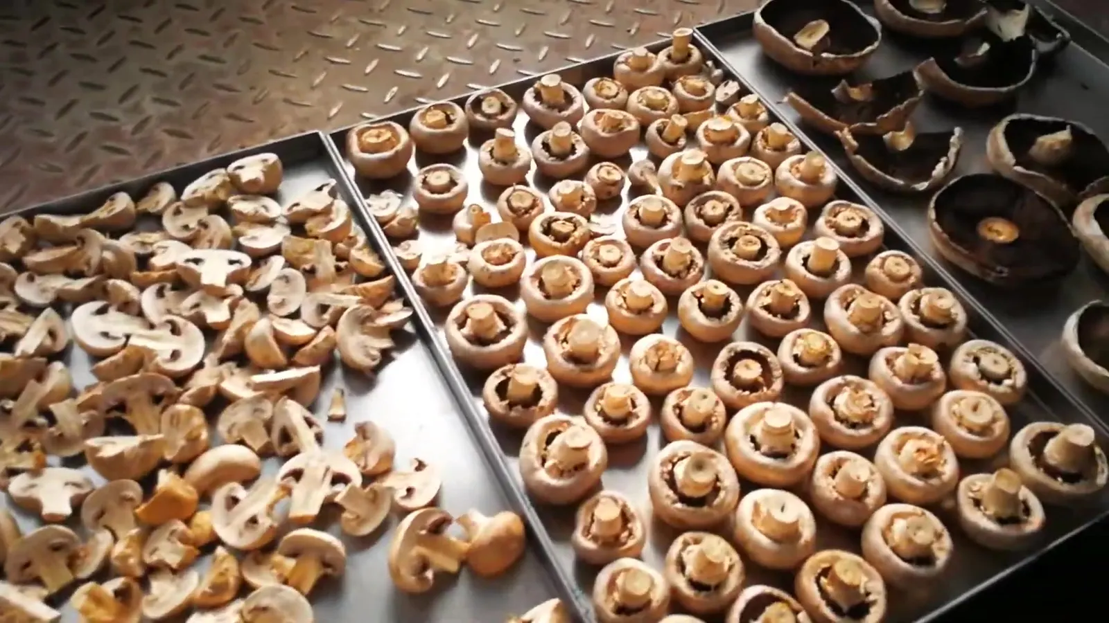 Three trays of freeze-dried champiñón side by side: slices on the left, whole button caps one deep in the centre, whole portobello on the right