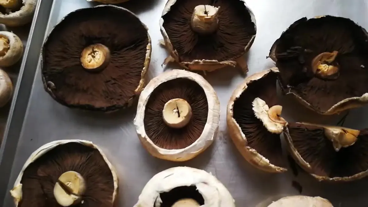 Whole freeze-dried portobello caps on a tray, gills fully intact and cap edges split