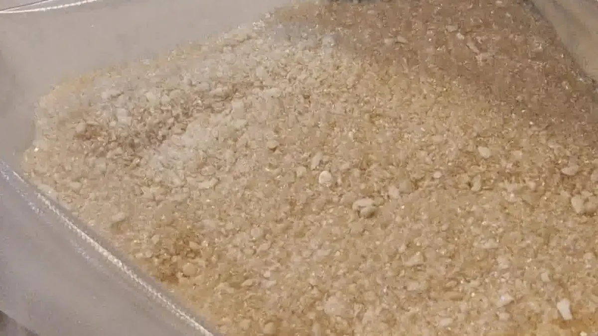 Freeze-dried beef broth filling a clear barrier bag, the bag seam visible along the left edge