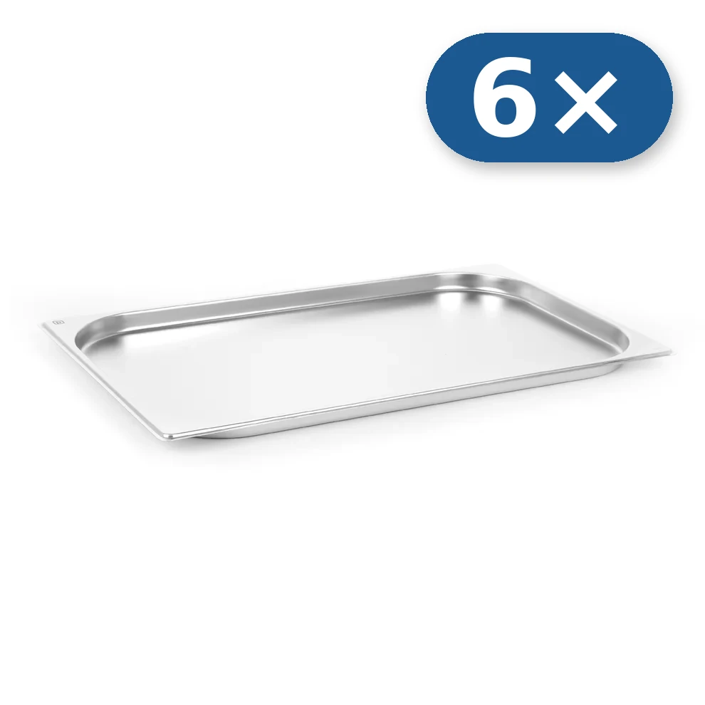 6× Stainless steel tray GN 1/1 20 mm for LEO-010