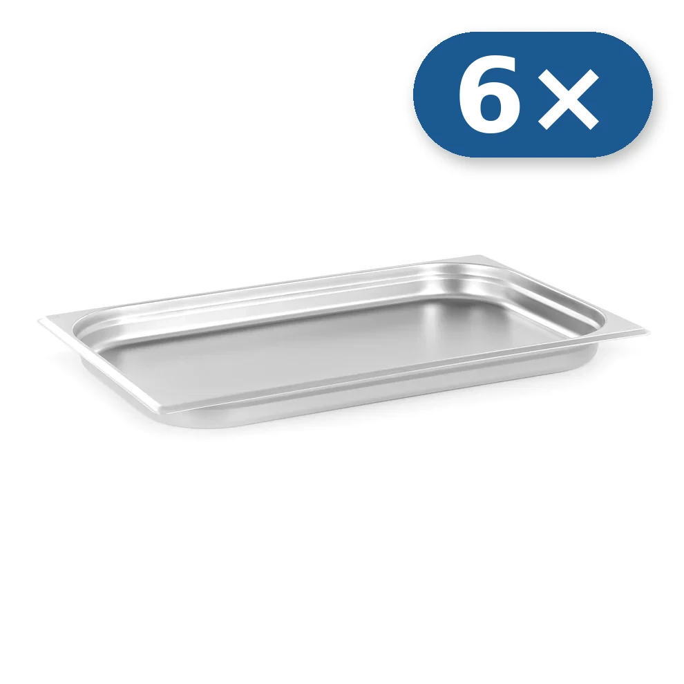 6× Stainless steel tray GN 1/1 40 mm for LEO-010